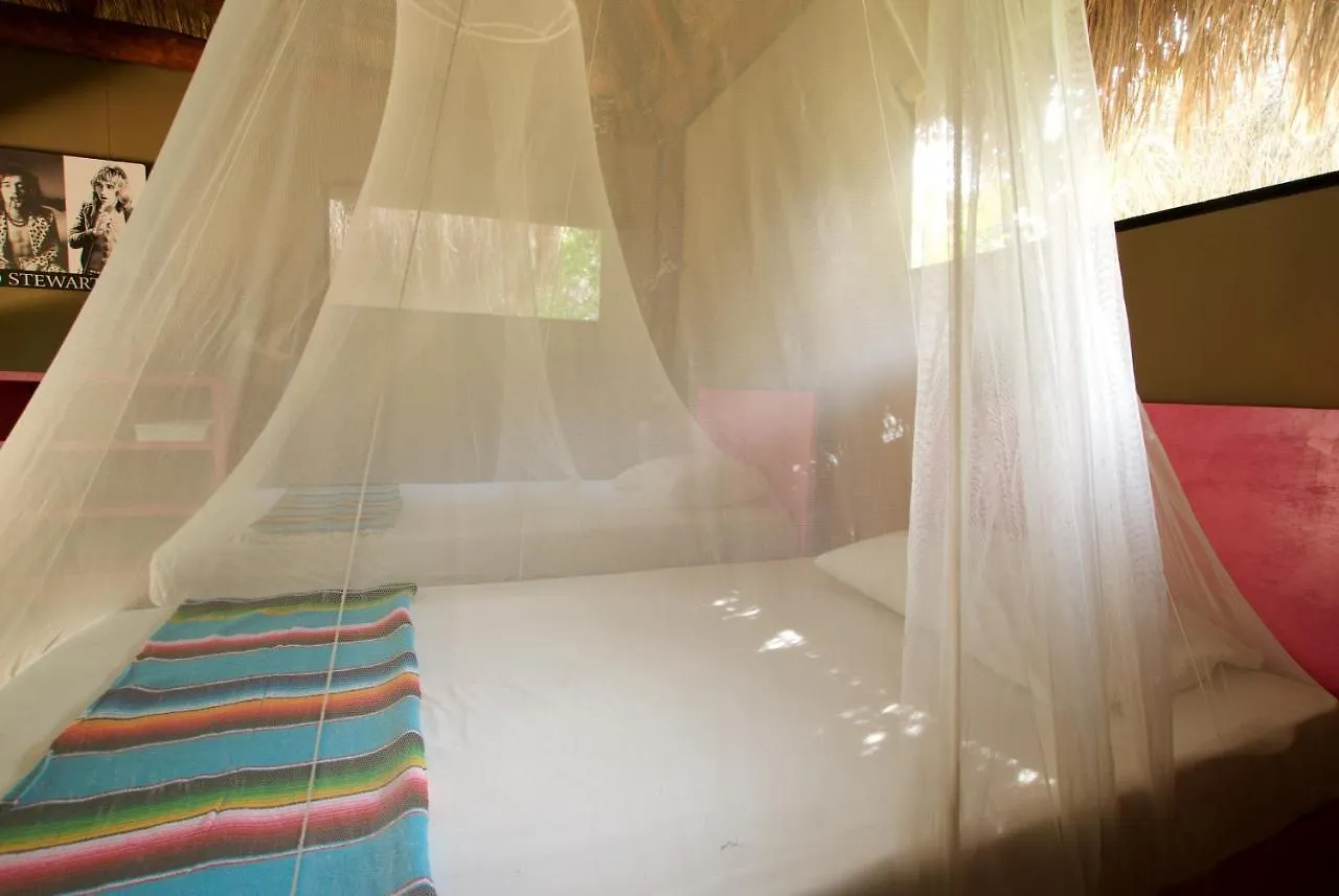 Joy Tulum - Adults Only. Vila Alojamento de Turismo Selvagem