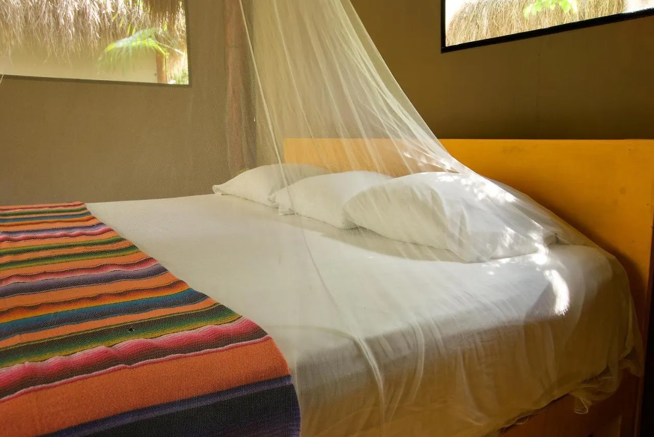 Alojamento de Turismo Selvagem Joy Tulum - Adults Only. Vila